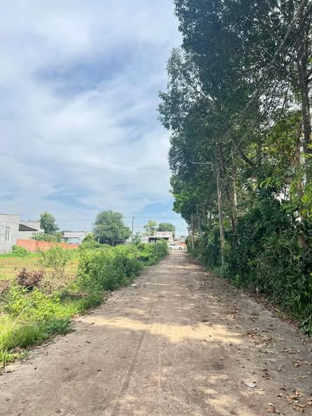 Đất nền Bàu Trâm Long Khánh 245m² - Sổ đỏ chính chủ!