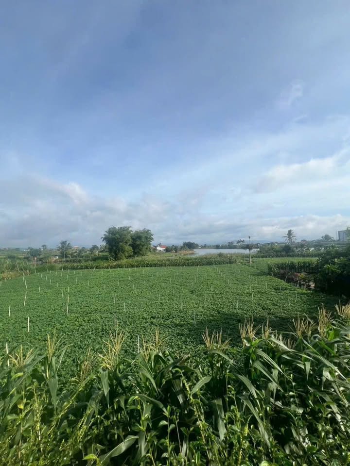 Đất nền Tân Hội Đức Trọng 960m² - Pháp lý rõ ràng, view hồ