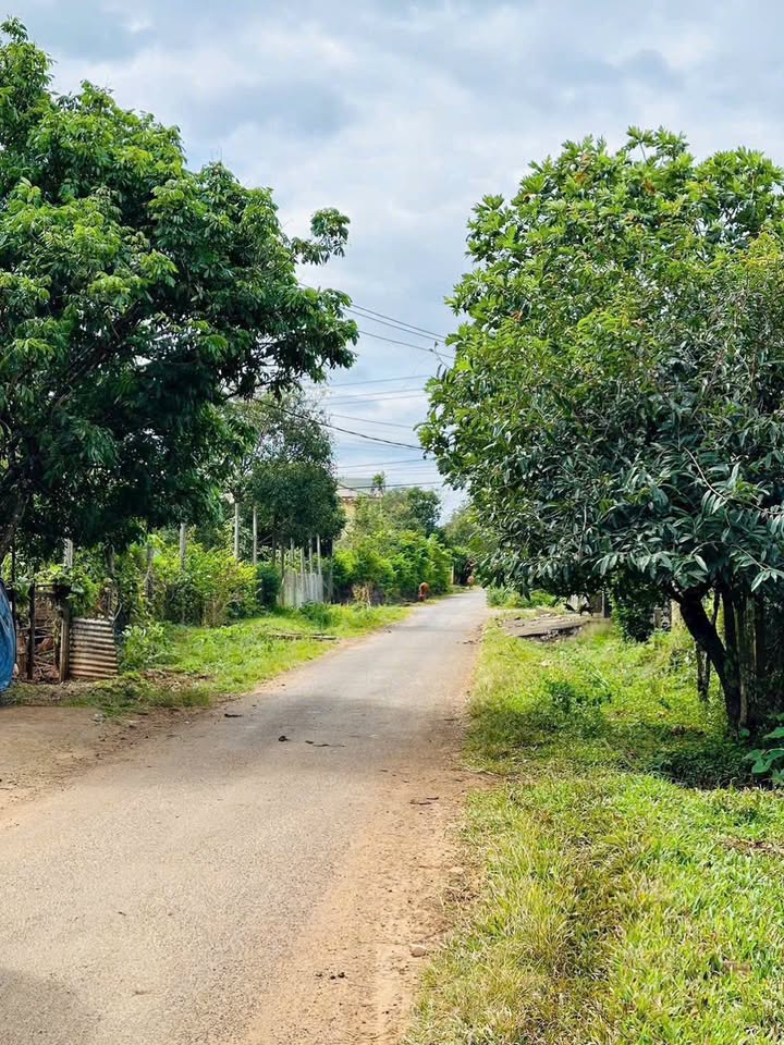 Đất 2 Mặt Tiền Biển Hồ, Pleiku - 550m² Giá 2.5 Tỷ, Sẵn Sổ Hồng