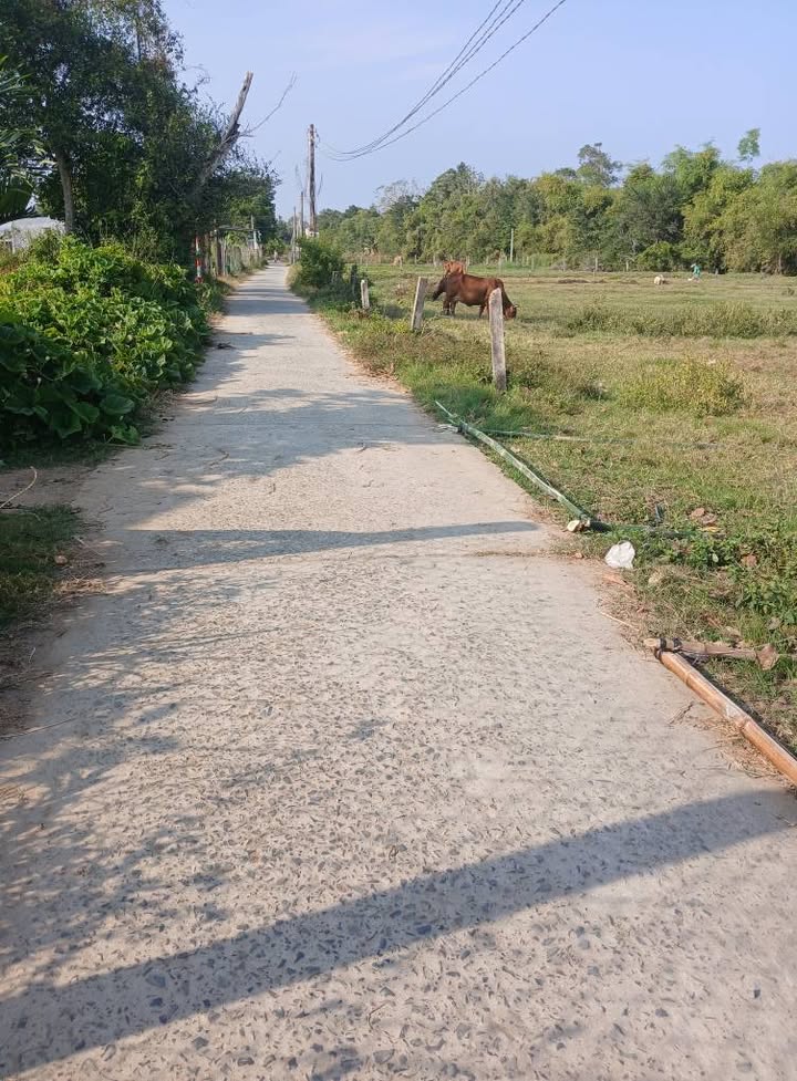 Bán Đất Thổ Cư Mặt Tiền Đường Nguyễn Thiện Thành, Trà Vinh - 130m²