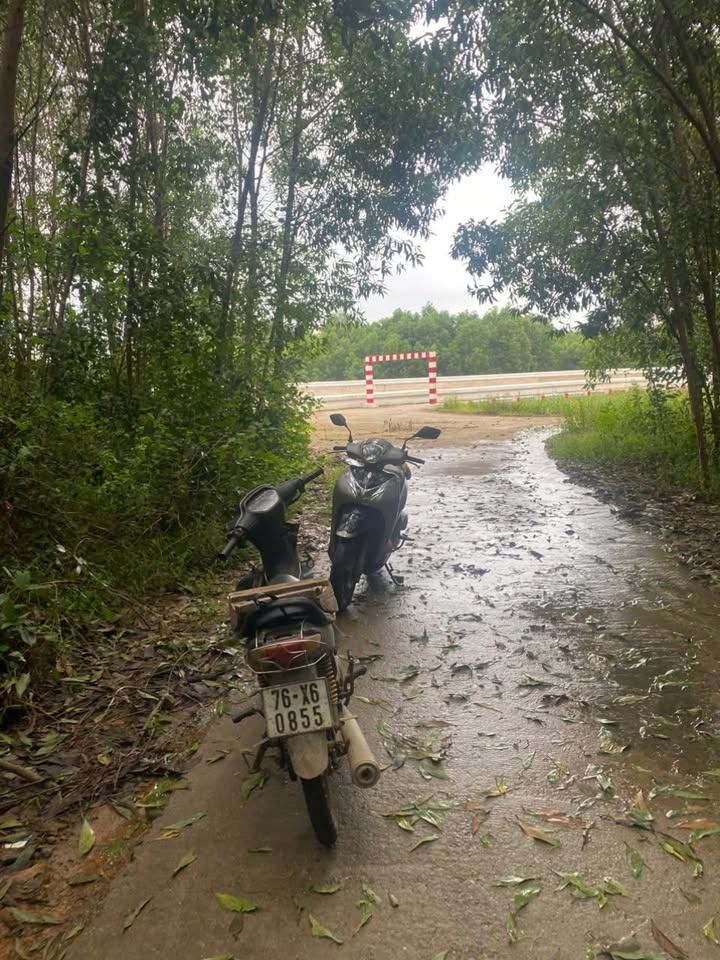 Bán Gấp Đất Vườn Bình Thanh 5040m² - Sẵn Keo 2 Năm - Giá 659 Triệu