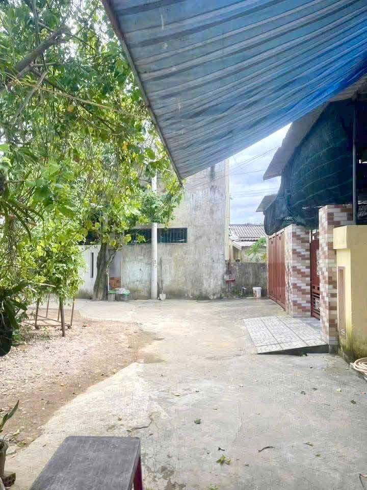 Đất nền Quảng Ngãi 115m² - Sổ ODT, Hướng Đông, Giá 1.1 tỷ