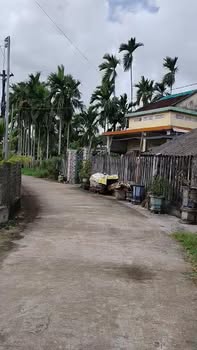 Nhà Xây Mới Xinh Như Homestay, 169m² Gần Công Viên An Ba, Nghĩa Hành