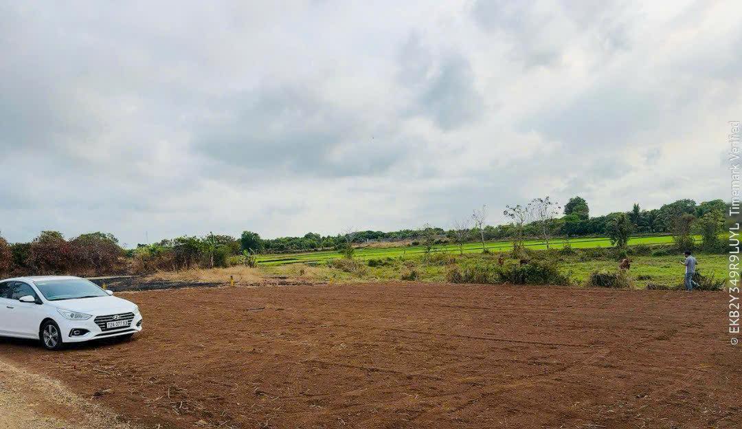 Đất nền Long Tân 503m² giá 550 triệu - Đường to ô tô, sổ đỏ chính chủ!