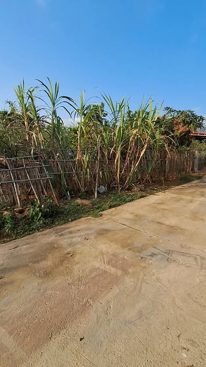 Đất Nền Mộc Châu 1000m² - Sổ Đỏ Chính Chủ, Tiềm Năng Vượt Trội!