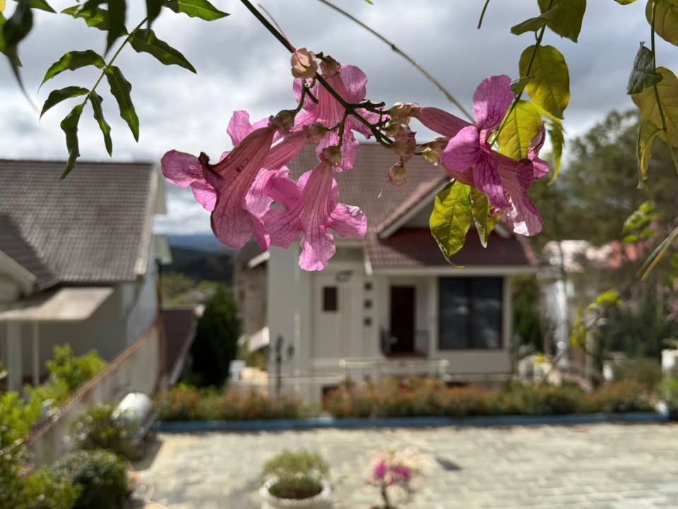 Bán Villa 2 Mặt Tiền Trung Tâm Đà Lạt - 1150m² Hướng Dinh 2