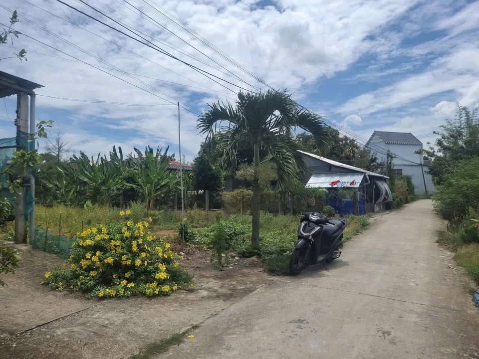 Đất nền Tân Phú 150m² 470 triệu - Xây dựng tự do, ô tô tới đất!