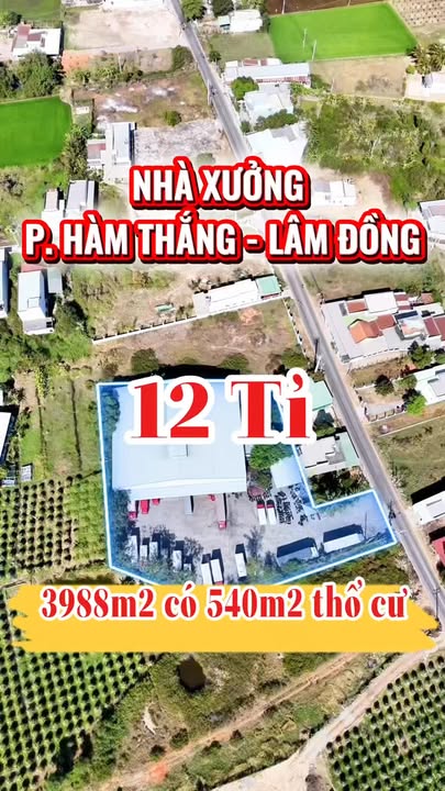 Kho Xưởng 2988m² Bình Thuận - Sẵn Sàng Hoạt Động - Giá 12 Tỷ