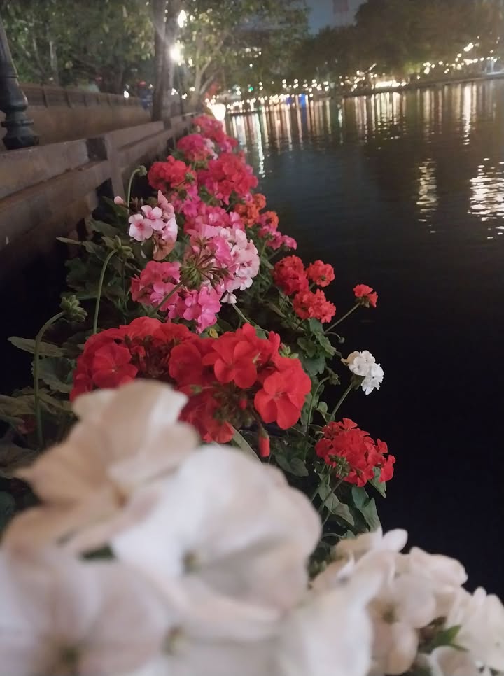 Bán Đất Tặng Nhà Cấp 4 Đường Đông Phương Hồng, Ninh Bình 74m² - Hướng Tây