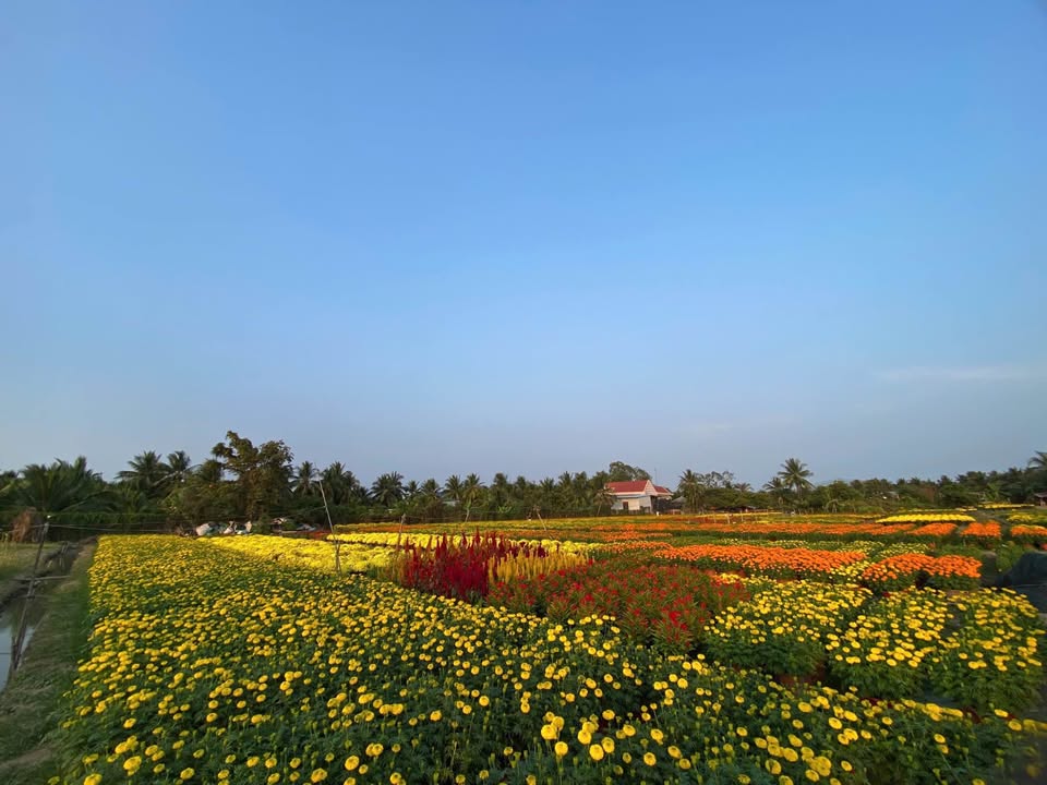 Đất nền Mỹ Phong, Mỹ Tho 58.8m² - Tiềm năng tăng giá cao!