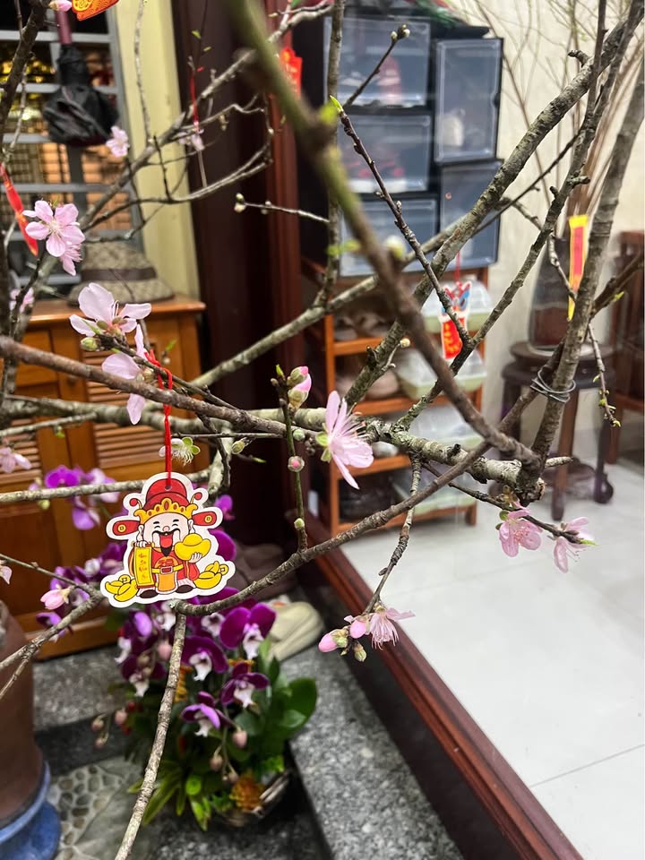 Đất nền Phúc Chỉnh Nam Thành 45m² giá 1 tỷ - Sổ đỏ chính chủ