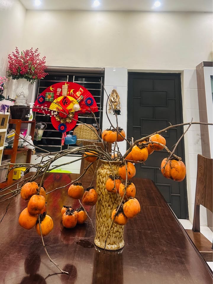 Bán đất mặt tiền Trần Hưng Đạo, Hoa Lư, Ninh Bình - 187m², 2 mặt tiền