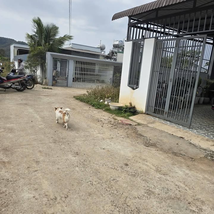 Đất nền Thôn 8 Cư ÊBur, Buôn Ma Thuột - 125m² Sổ đỏ, Giá 935 triệu