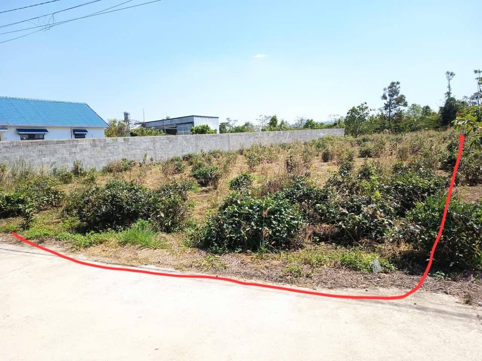 Đất nền Bảo Lộc 1180m² 3.3 tỷ - Pháp lý rõ ràng, tiềm năng sinh lời!