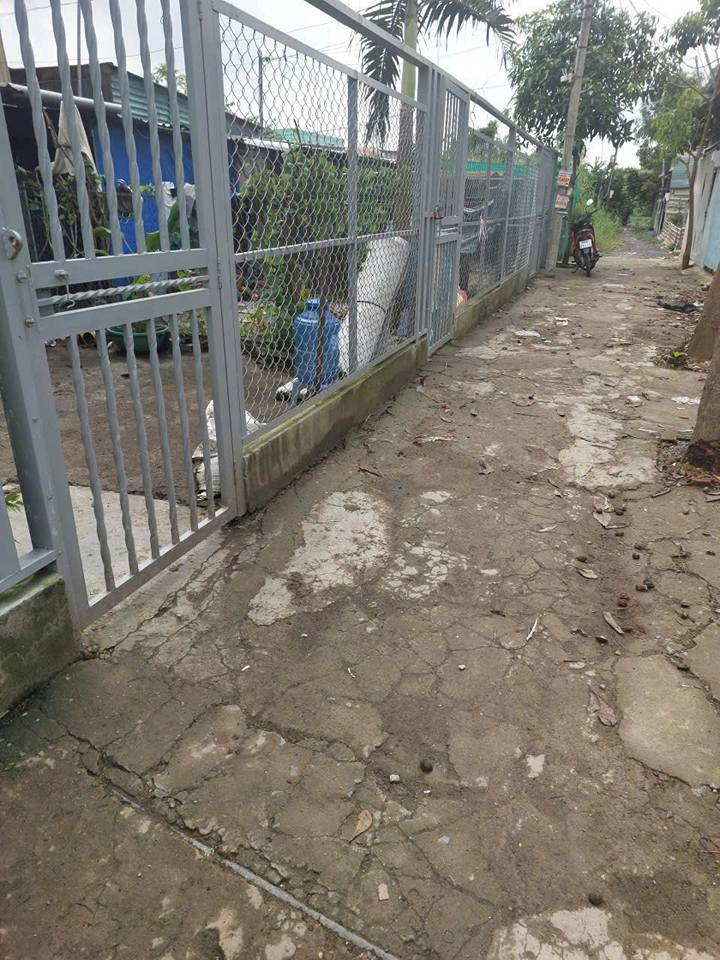 Nhà Cấp 4 Giá Mềm 40m² Đường Đa Phước, Bình Chánh - Sẵn Sàng Dòng Tiền