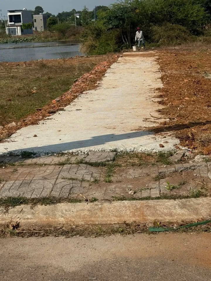 Bán Gấp Đất 304m² Xã Hoà Long, TP Bà Rịa - 890 Triệu Ký CC Liền