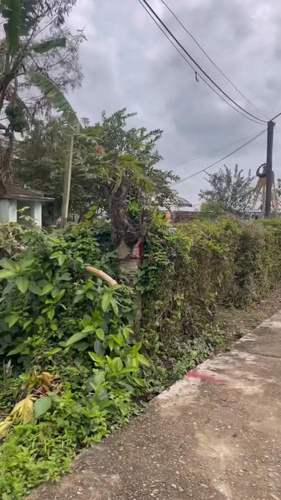 Đất nền Nam Phước, Duy Xuyên 137m² - Sổ đỏ thổ cư, giá chỉ 6xx triệu