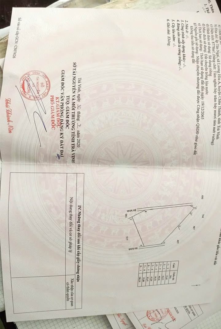 Đất Vườn Trà Vinh 9951m² - Đầu tư dài hạn, sinh lời bền vững!