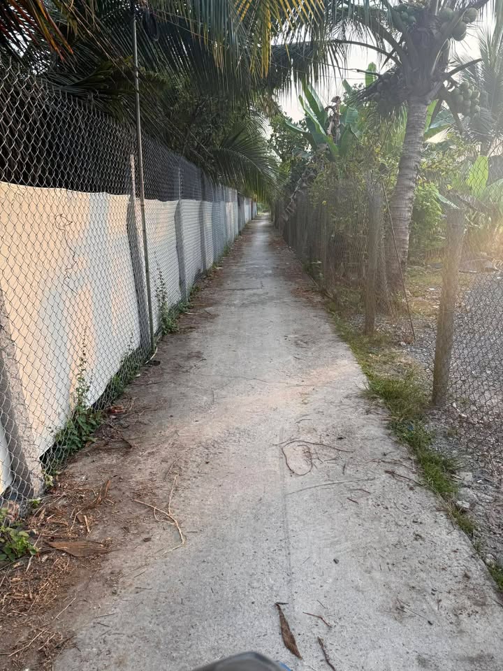 Đất vườn Cái Bè 1000m² giá 1.2 tỷ - Đầu tư dài hạn sinh lời!