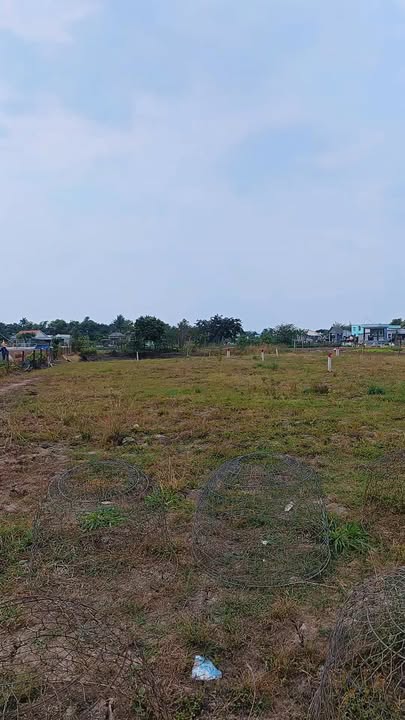 Đất Vườn 500m² Phước Lý, Cần Giuộc - Sổ Riêng, Sẵn Sàng Xây Nhà Vườn