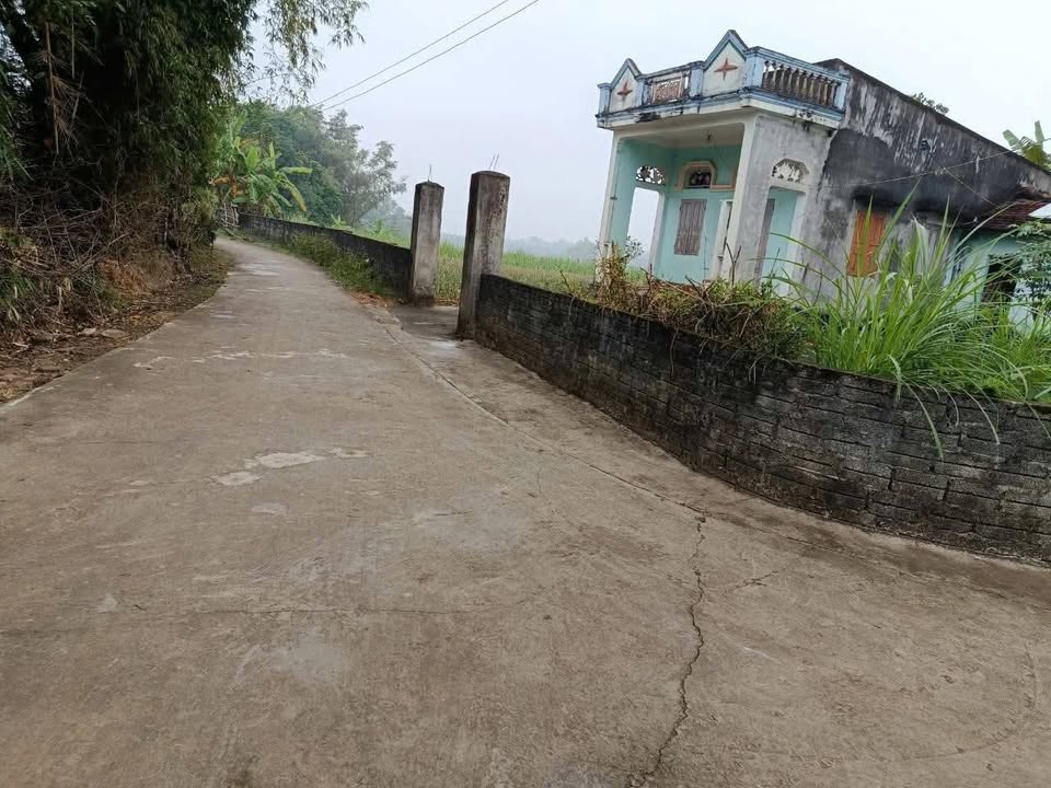 Đất nền Thọ Lập, Thanh Hóa 1500m² - Tiềm năng tăng giá vượt trội!