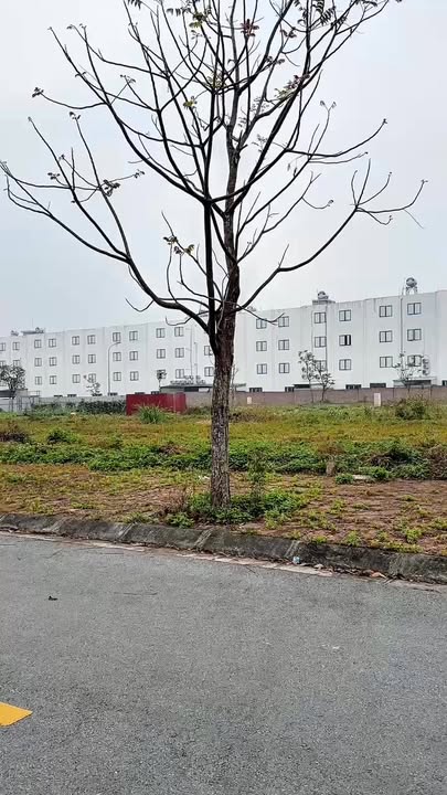 Đất Nền TNR Stars Thắng City 100m² - Vượng Khí Trung Tâm, Sổ Đỏ Sẵn Sàng