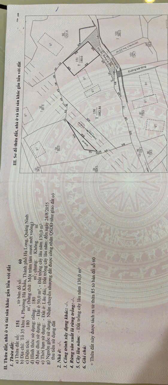 Đất nền Đội Cấn 207m² - Xây dựng tự do, mặt tiền 10m!