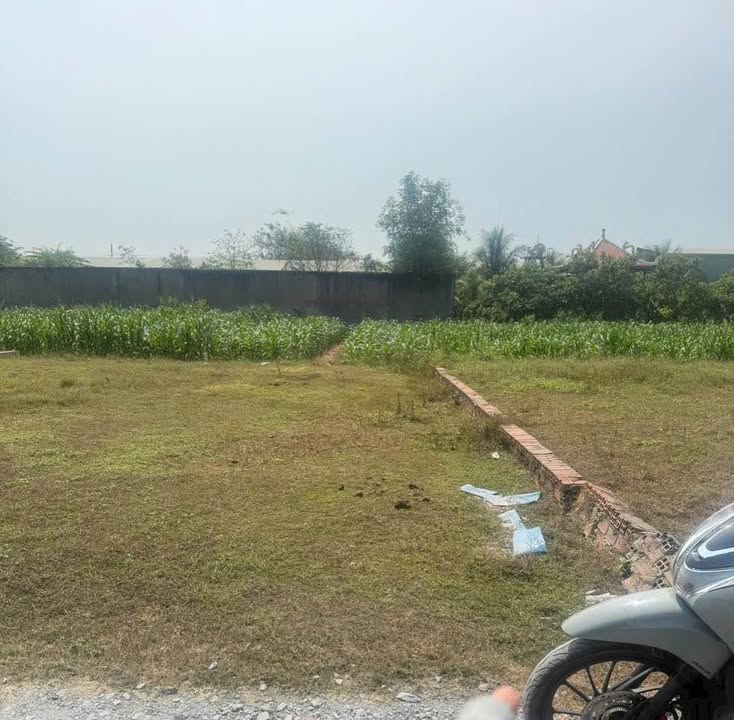 Đất nền Phước Hiệp Củ Chi 102m² giá 800 triệu - Sổ đỏ chính chủ!