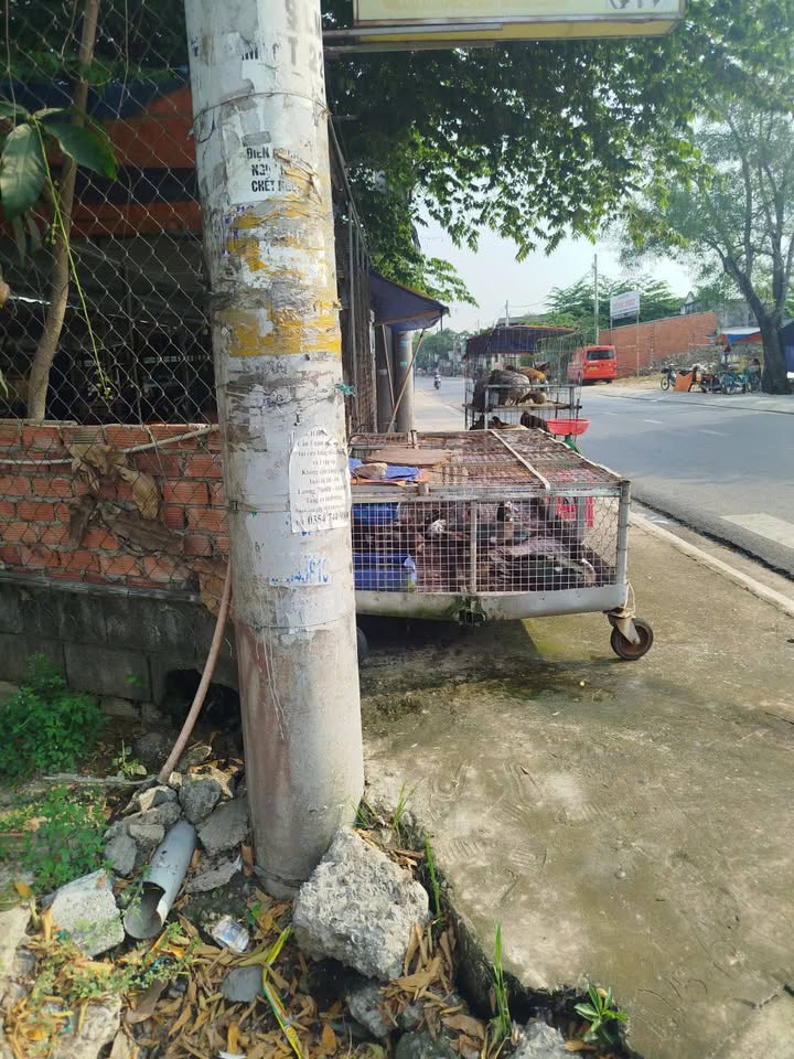 Bán Đất 986m² Củ Chi - 2 Mặt Tiền Lê Minh Nhựt & Lê Thị Siêng