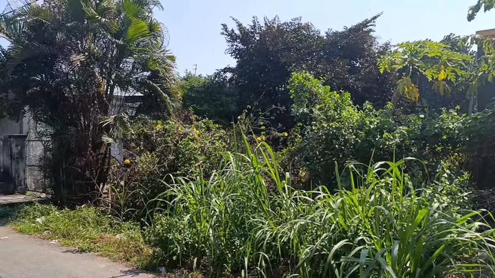 Đất nền Củ Chi 40m² giá 280 triệu - Mặt tiền đường nhựa!