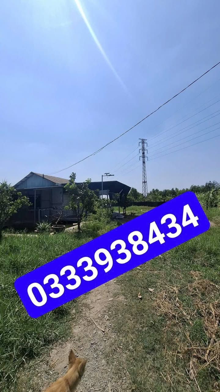 Nhà riêng Xã Bình Mỹ Củ Chi 1000m² - Sẵn sàng ở ngay!