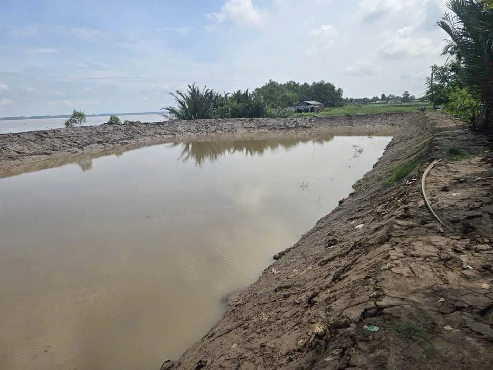 Bán đất vườn Thạnh Phú Bến Tre 6.100m² giá 890tr - Đầu tư sinh lời!