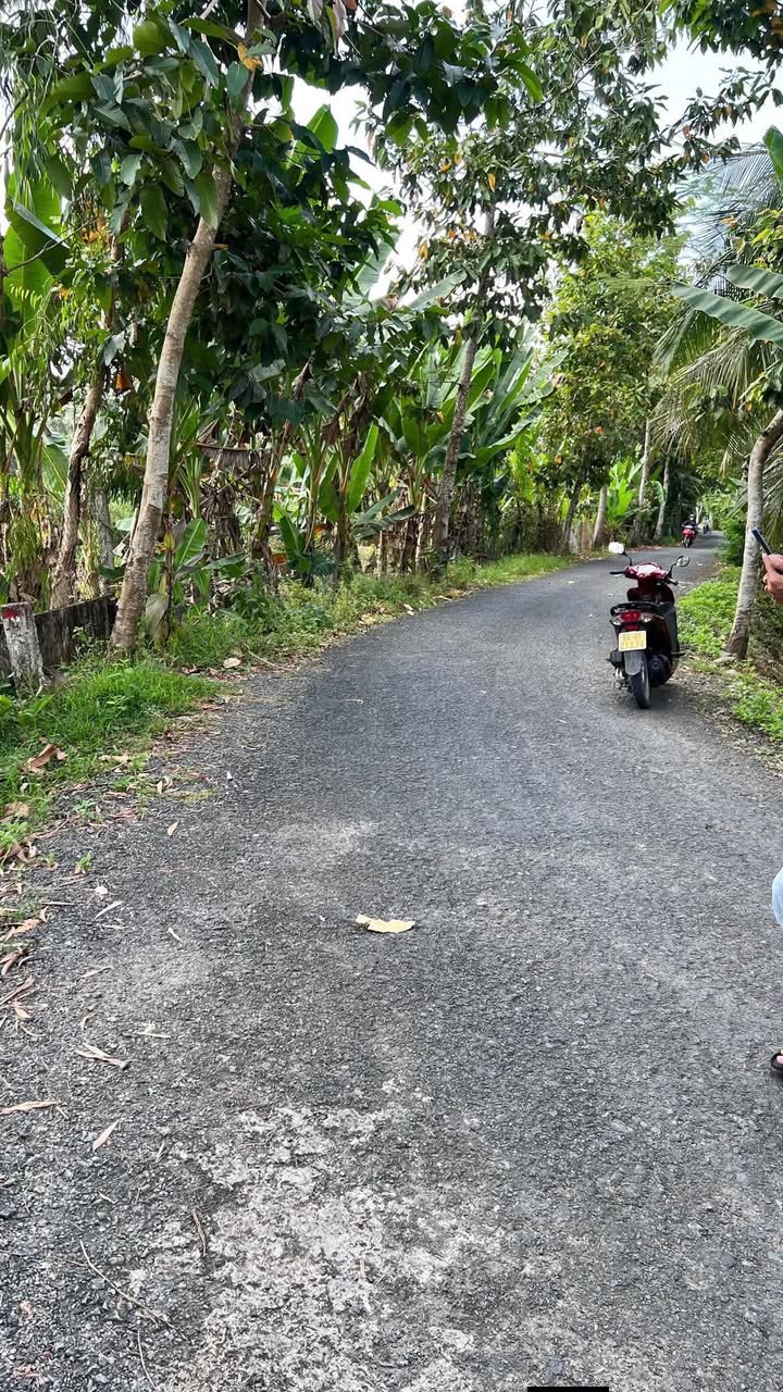 Đất vườn Quận Ninh Kiều 1482m² - Nghỉ dưỡng lý tưởng!