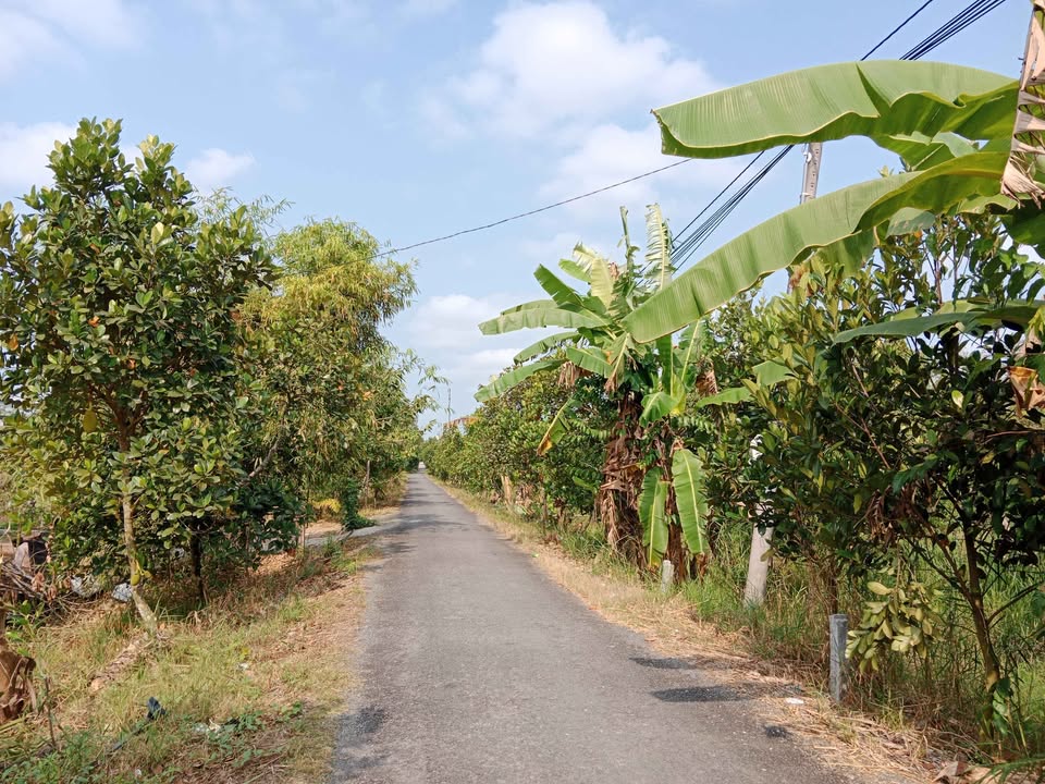 Đất Nền Phú Hữu 95.9m² 280 Triệu - Sổ Đỏ Chính Chủ!