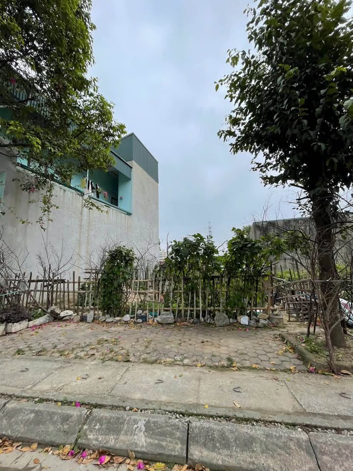 Đất nền Quảng Thái, Thanh Hóa 81m² - Sổ đỏ chính chủ, ô tô tránh nhau