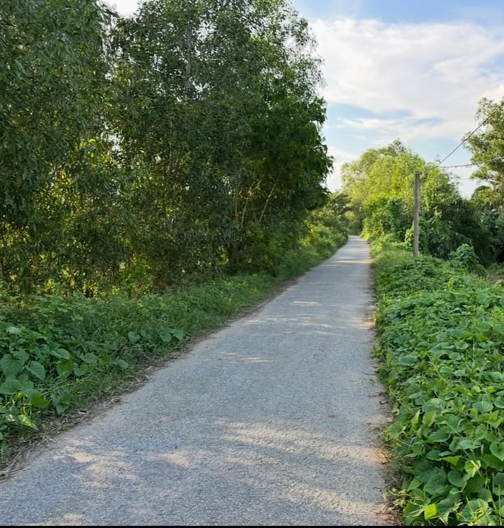 Bán Gấp Đất Ruộng 3.600m² Đồng Tháp - Mặt Tiền 73m, Sổ Đỏ