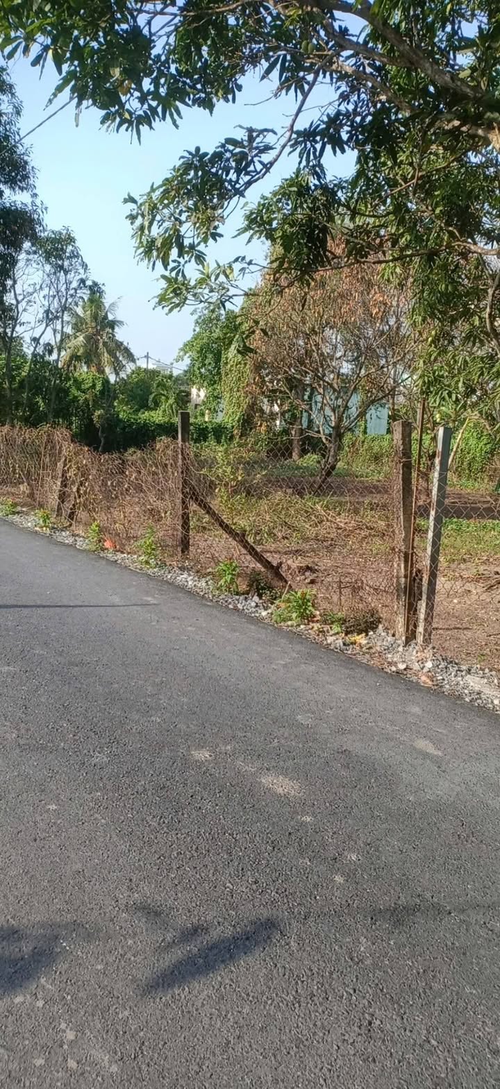 Đất Vườn 1000m² Mặt Tiền Đường Nhựa Quy Đức, Bình Chánh - Giá Tốt Đầu Tư