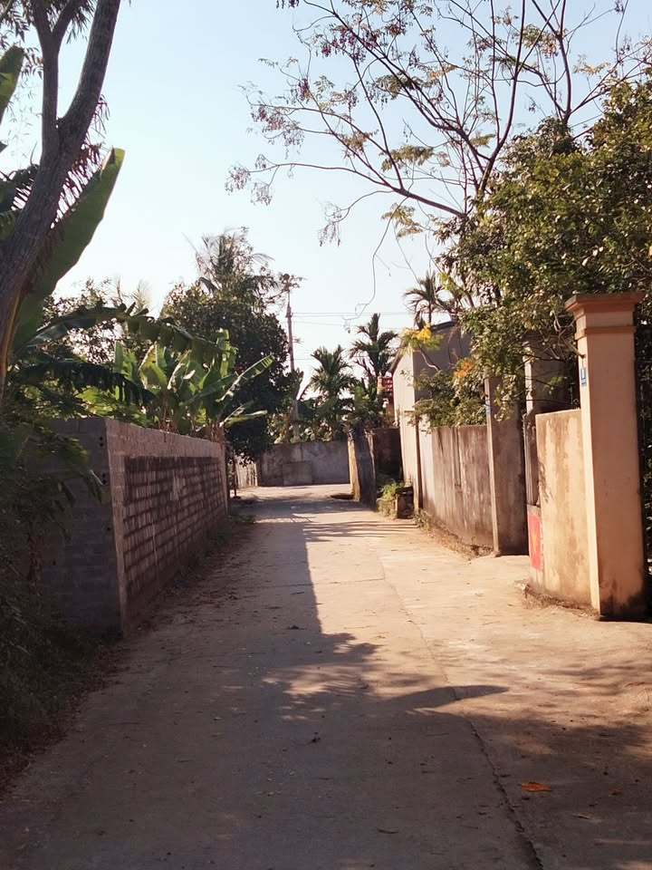 Đất nền Hoằng Phong 360m² - Sổ đỏ chính chủ, xây dựng tự do!