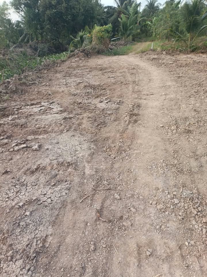 Đất Vườn Tân Xuân, Ba Tri 1.7ha 3.5 tỷ - Không gian sinh thái xanh