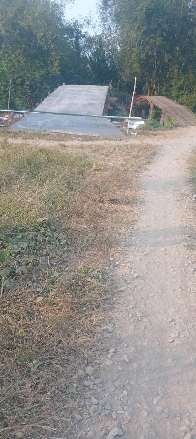 Bán Gấp 13.000m² Đất Ruộng Cái Bè - Đầu Tư Hấp Dẫn