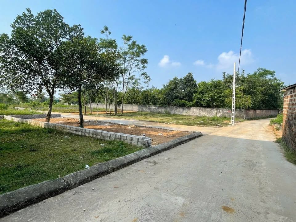 Đất nền Hạ Bằng Thạch Thất 114.4m² - Sổ đỏ chính chủ, ô tô đậu cửa!