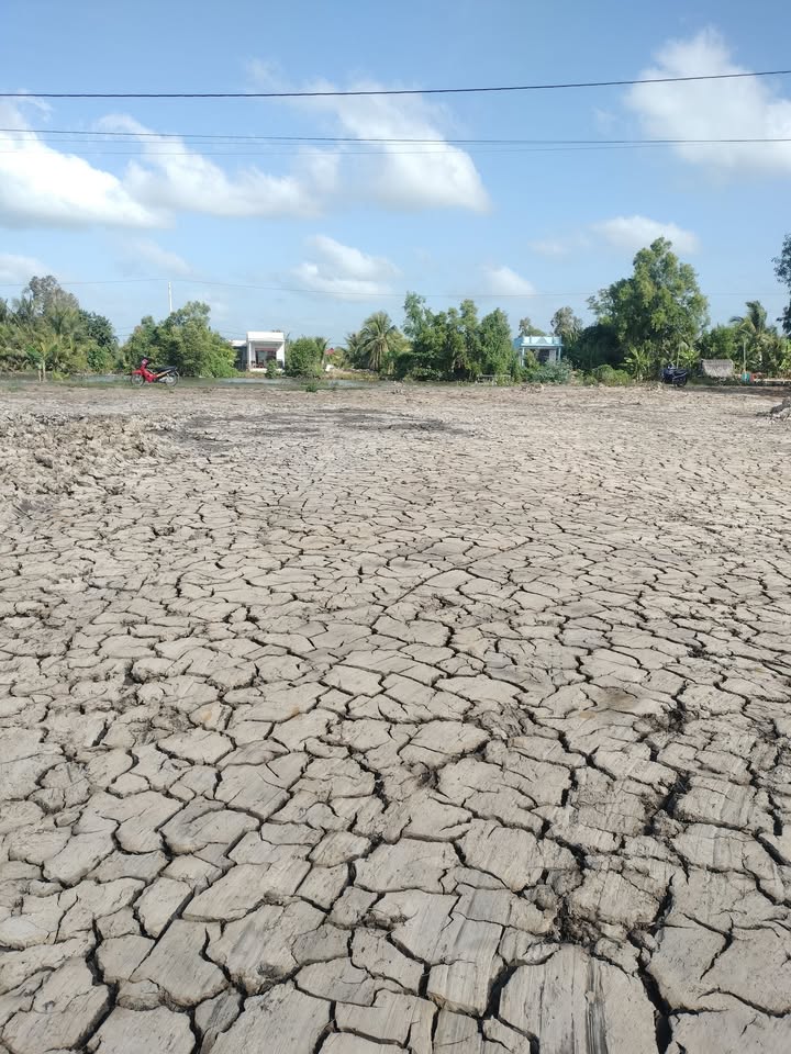 Đất nền Trần Văn Thời Cà Mau 378m² giá 240 triệu - Sổ hồng sẵn!