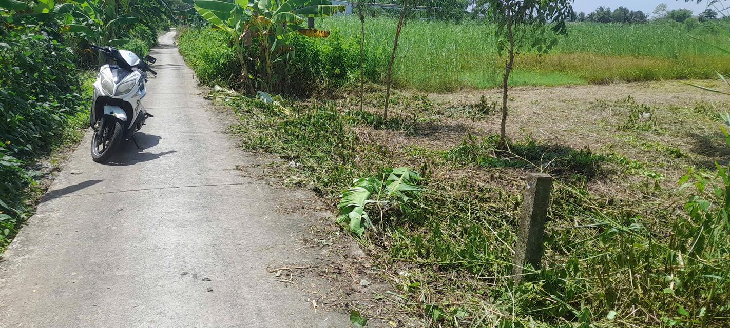 Đất lập vườn Cà Mau 650m² giá 820 triệu - Pháp lý rõ ràng!