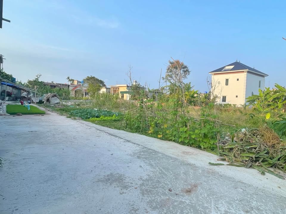 Bán đất nền Xã Nam Hà, Tiền Hải 80m² - Oto vào tận nơi