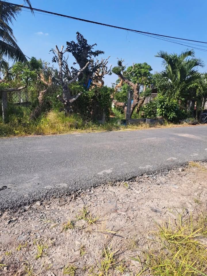 Đất thổ mặt tiền Bùi Văn Khánh, Tân An - 403.9m², 1.75 tỷ, view sông