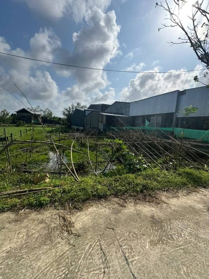 Đất Nền Thừa Thiên Huế 195m² - Sổ Đỏ Rõ Ràng, Giá Tốt