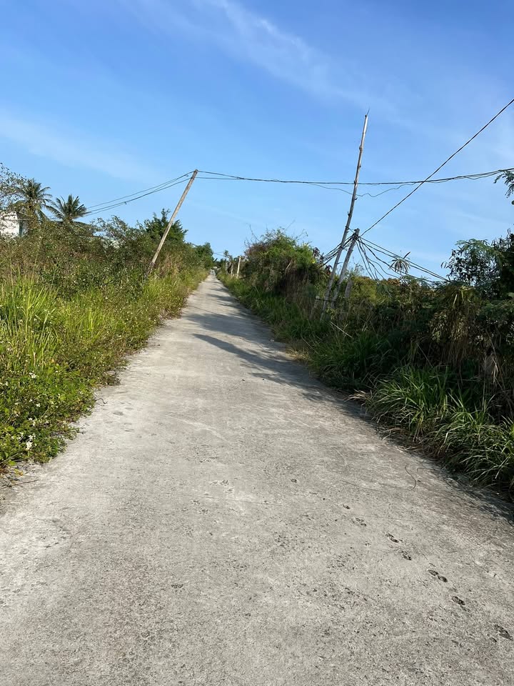 Bán Gấp 5372m² Đất Trồng Cây Hàng Năm Cam Ranh - Sổ Đỏ Sẵn Sàng