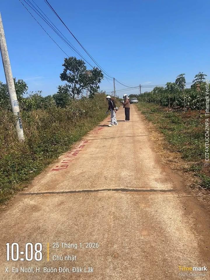 Đất nền Đa Lộc, Đồng Xuân 2800m² - Xây dựng tự do, giá 599 triệu