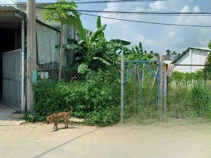 Nhà Mặt Tiền An Thạnh 08, Thuận An - 97.3m² Thổ Cư, Giá 2.6 Tỷ