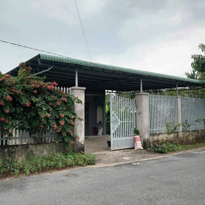 Đất nền An Khánh Bến Tre 1450m² - Thổ cư 200m², mặt tiền Lộ Nhựa 8!